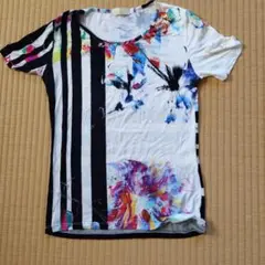 Item thumbnail for item 50c38e0e-bcf9-487d-af05-6a16ece2b427