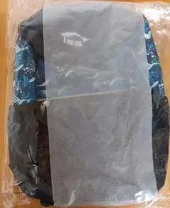 Item thumbnail for item 17c95559-28aa-451e-ad1c-ea893ad4fc5f