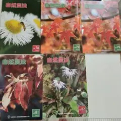 自然農法 vol.79 81 82 セット