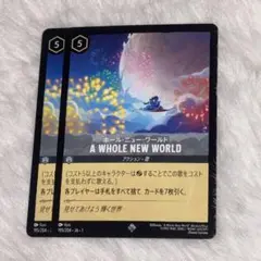 ホールニューワールド　 2枚　ロルカナ