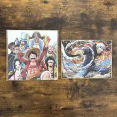 ワンピース 色紙 2枚セット