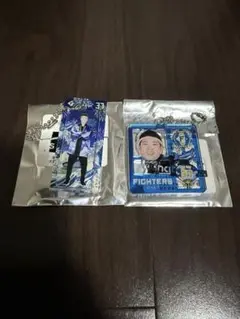 プラモデル風 ブリスター風 キーホルダー 古林睿煬