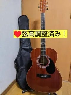 ❤️弦高調整済！「HONEY BEE ハニービー F-15 MH」＋ケース♪ Amazon | HONEY BEE ハニービー アコースティックギター