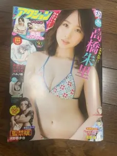 漫画アクション2018/7/3高橋朱里グラビア両面クリアファイル付HOSHINO