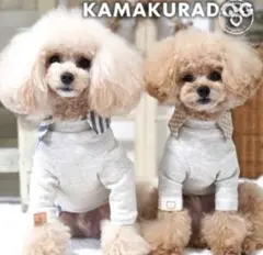 Item thumbnail for item a9e10b31-e20f-45a2-9e49-930ba0eefbec