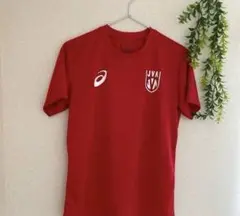 ネーションズリーグ2025 男子日本代表 エンブレムTシャツ M