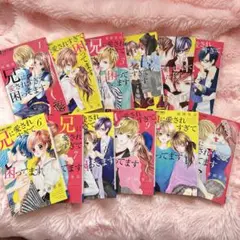 兄に愛されすぎて困っています 全12巻+4.5巻セット