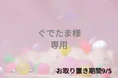 ぐでたま様❁⃘*.゜専用ページ