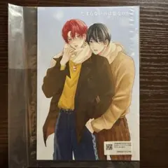 新品未読品　たまらないのは恋なのか　4 アニメイト　特典　小冊子