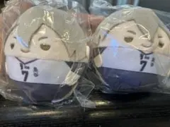 未開封 ふわコロりん 木葉秋紀