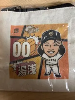 読売ジャイアンツ湯浅大