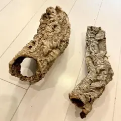 Item thumbnail for item 79d34aa8-5d59-44de-b9d3-25f426393487