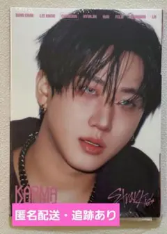 karma　アルバム　アコーディオン　CD 開封済み　チャンビン