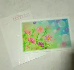 秋空にたなびくコスモス 絵葉書 和紙ポストカード3枚 パステルアート・イラスト
