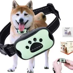 Item thumbnail for item 68d30451-1713-4007-b38b-cdf7276d74f7