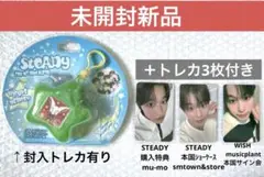 ★未開封新品★NCT WISH Steady キーリングver リク　RIKU