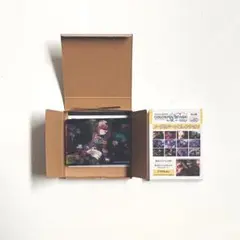 プロセカ　ノーブルアート 60 絵名