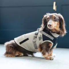 Item thumbnail for item 36c93cdc-ad96-4cb5-a29a-2efb6df47330