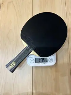 樊振東ZLC