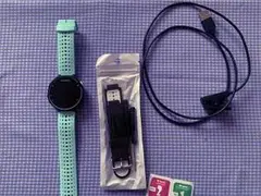 ガーミン Garmin ForeAthlete 235 J 新品ベルト マラソン