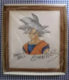 Item thumbnail for item 2d7f0c1e-4699-489d-8e06-d887a41a4a67