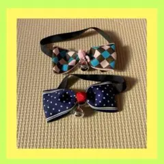 Item thumbnail for item 35c6252d-fbf1-445e-8829-c9afa9ef5ff2
