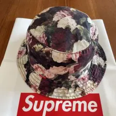 Item thumbnail for item 53fd57fa-4c12-4644-b04a-a8633e8b200b