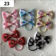 Item thumbnail for item 9b5a351c-3876-4922-ad65-e223a86513b3