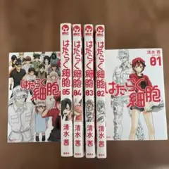 Item thumbnail for item b3c48414-8444-4297-89dd-3c2aeb250822