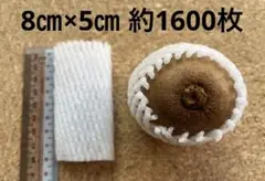 Item thumbnail for item 88333c84-d8d7-4b2a-8c64-12ad8917d5be