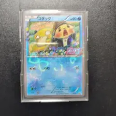 XY-P コダック_ポケキュンコレクション キャンペーン 増田順一