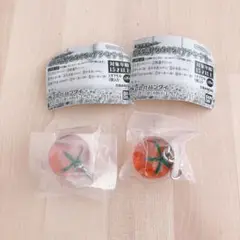 彩り変わった涼を感じる めじるしアクセサリー キーホルダー ガチャ