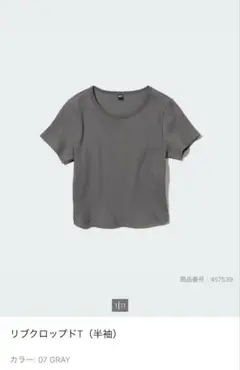 リブクロップドT