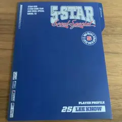 StrayKids リノ プロフィールセット 開封済
