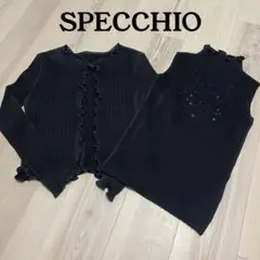 SPECCHIO シャトルプリーツ アンサンブル スパンコール ブラック 40