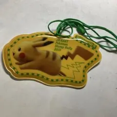 JR-EAST ポケモンスタンプラリー 2019 パスケース【ピカチュウ】