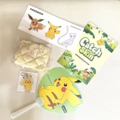 sungboon editor ポケモン　ピカチュウ　限定　オリヤ