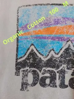 patagonia 山のグラフィック Tシャツ M