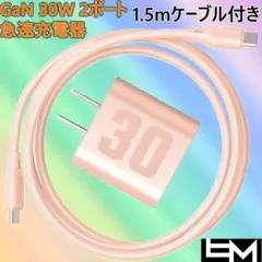 レミ GaN 2ポート 急速充電器 30W PD対応 Cケーブル付 窒化ガリウム