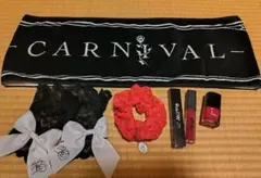 歌い手　luz　 CARNIVALLIVEグッズまとめ売り