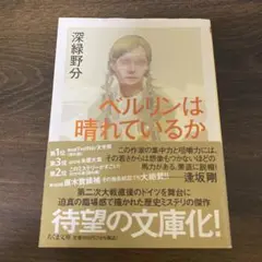 ベルリンは晴れているか