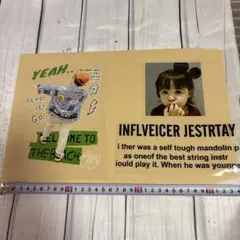 116 アイロン 転写シート セット売り