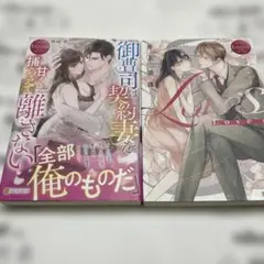 エタニティブックス2冊セット