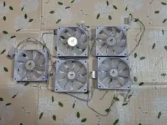 Antec ケースファン 120mm ホワイト 白 5個セット