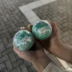 Item thumbnail for item 5109ec81-7158-4824-9e04-2a82ef129591