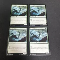 Item thumbnail for item f338dbeb-cd81-4cf8-9cfc-634ad34dd57a