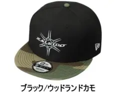 Item thumbnail for item b059df9b-8c43-42cd-b37e-eac4a07ec091