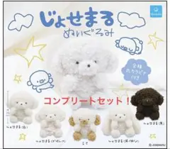 じょせまる/ガチャガチャ/コンプリートセット