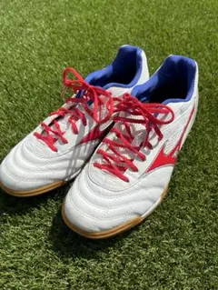 ミズノ フットサルシューズ トレーニングシューズ サッカーシューズ 25.5cm