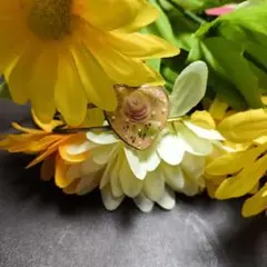 Item thumbnail for item 7e673ca7-1d71-4b03-b590-4fbb29402c26